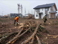 Работа с транспортом от работодателя Чебоксары