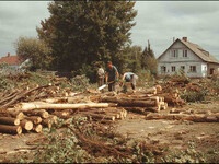 Подработка с оплатой наличными каждый день Чебоксары